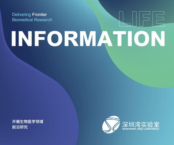 咖喱豆腐包裝設計